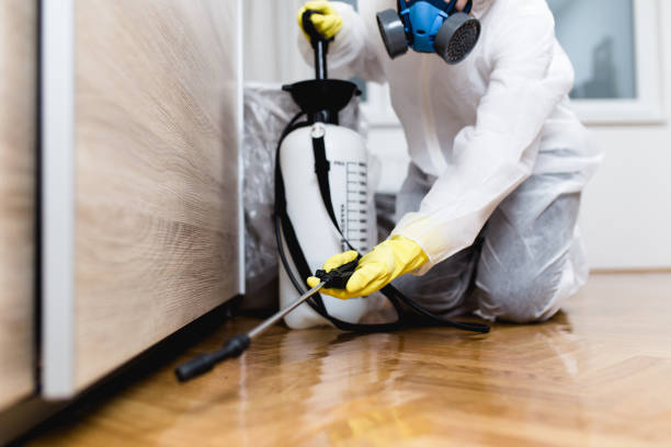 Trusted Salineville, OH Pest Control Experts