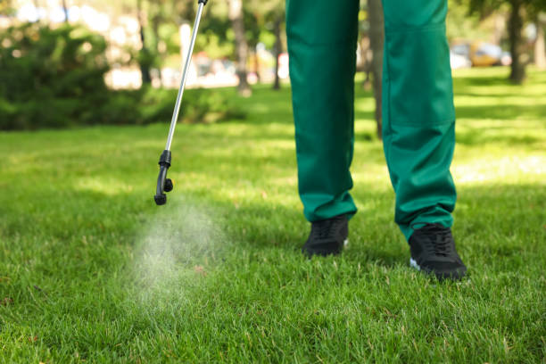 Best Affordable Pest Control Services  in Salineville, OH