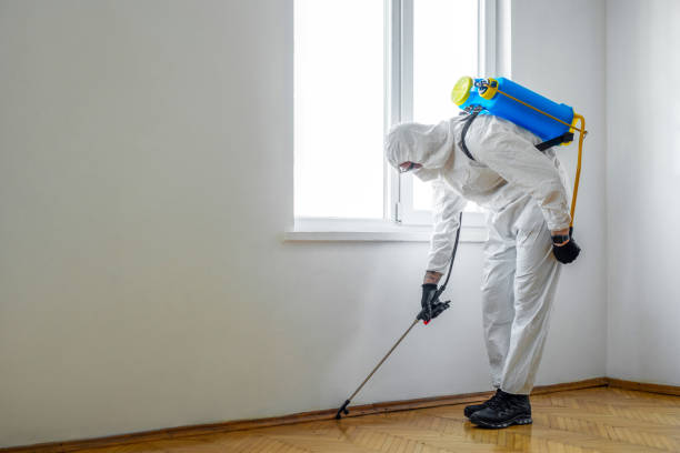 Best Emergency Pest Control  in Salineville, OH