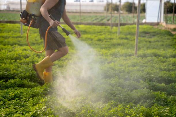 Best Pest Control Near Me in Salineville, OH