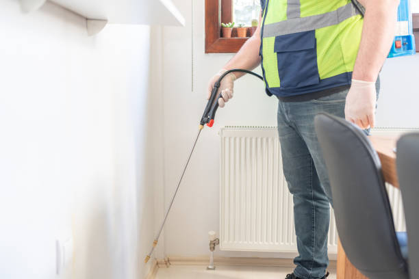Best Rat Extermination Near Me  in Salineville, OH