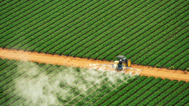 Best Pest Inspection Near Me  in Salineville, OH